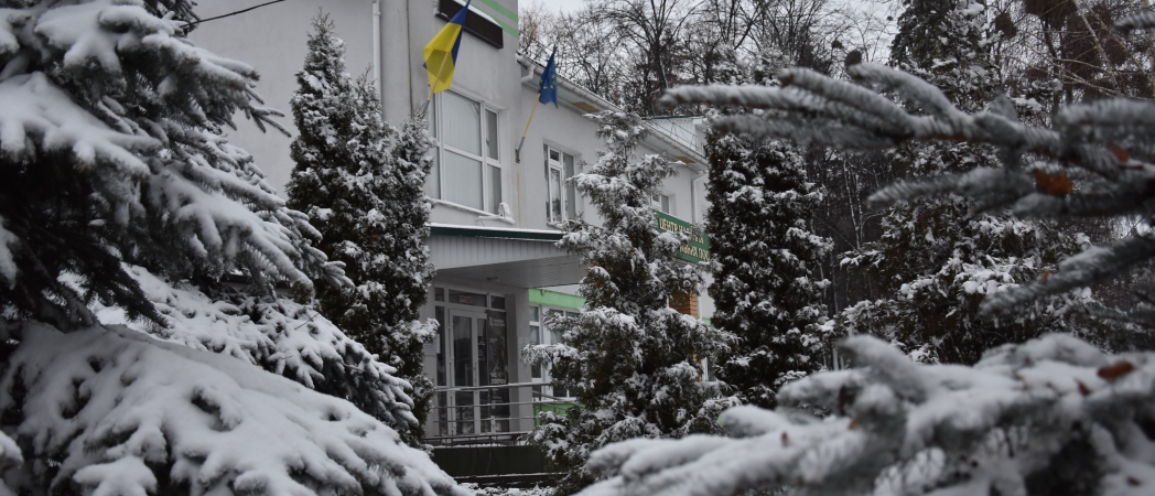 Зимовий пейзаж, ялинки будівля сільської ради