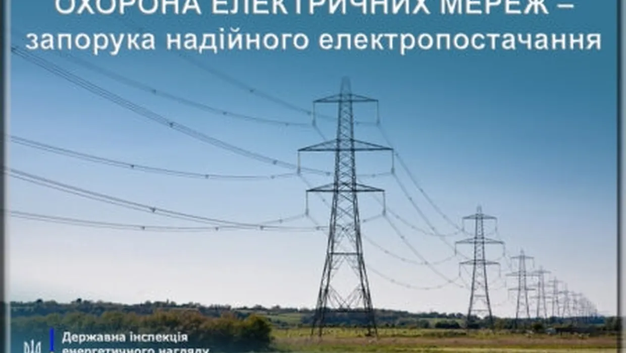 охорона електричних мереж