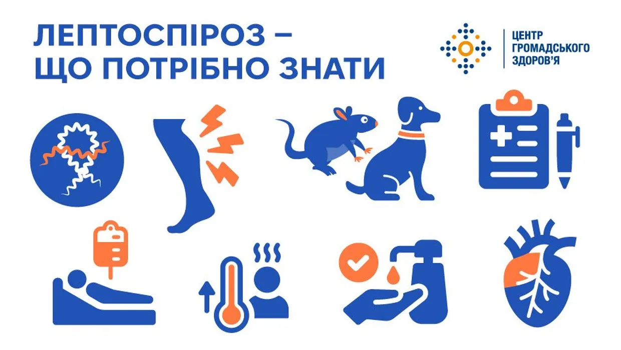 лептоспіроз