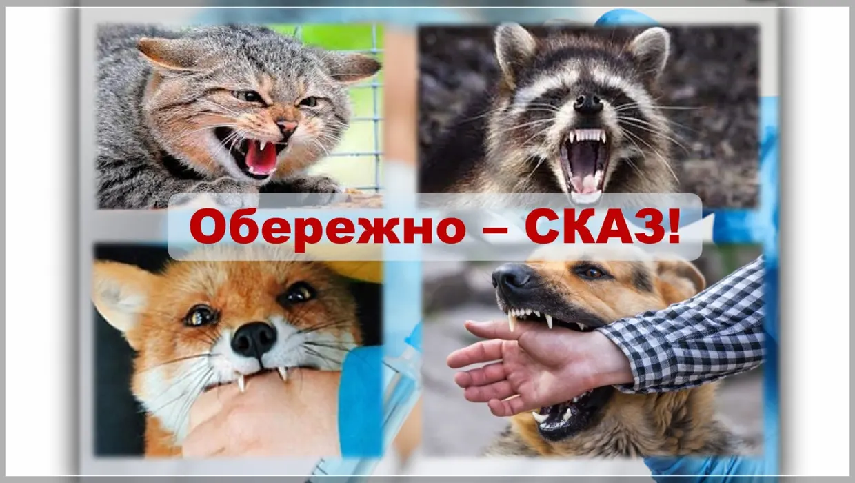 обережно скакз