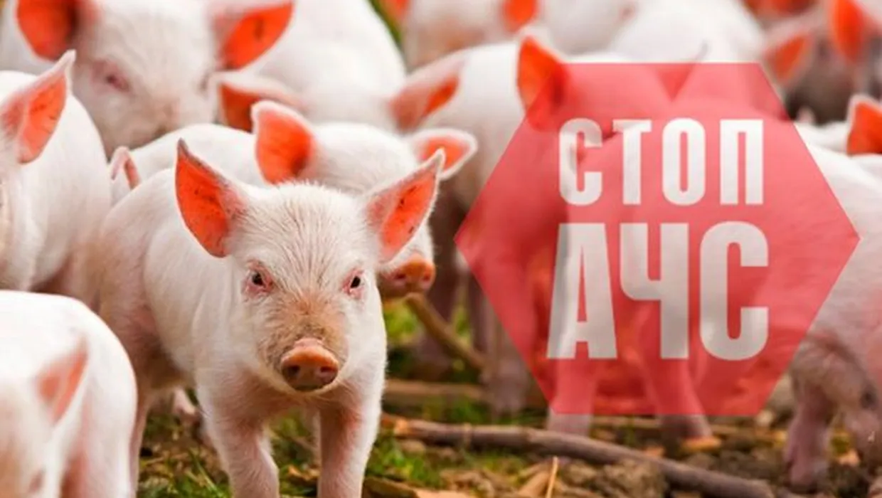 обережно ачс