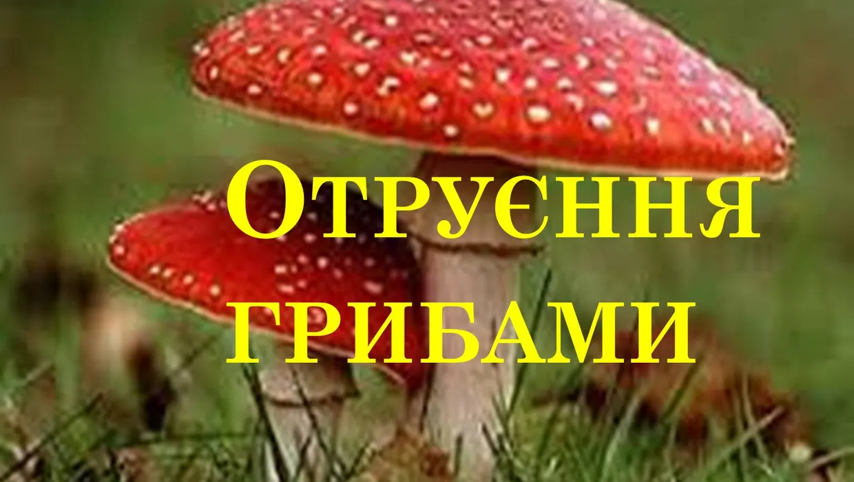 Гриби - це дарунок лісу, але водночас вони є небезпечним продуктом