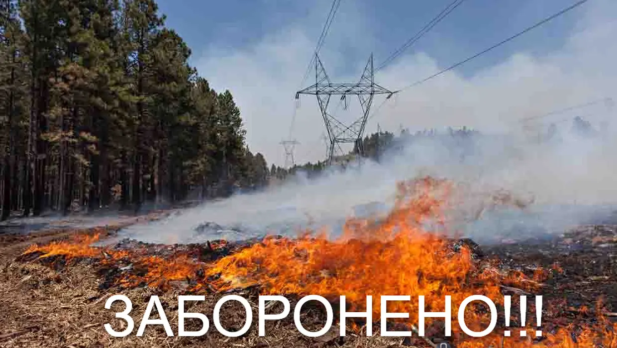 Нагадуємо про неприпустимість розкладення вогнищ та спалювання стерні Нагадуємо про неприпустимість розкладення вогнищ та спалювання стерні