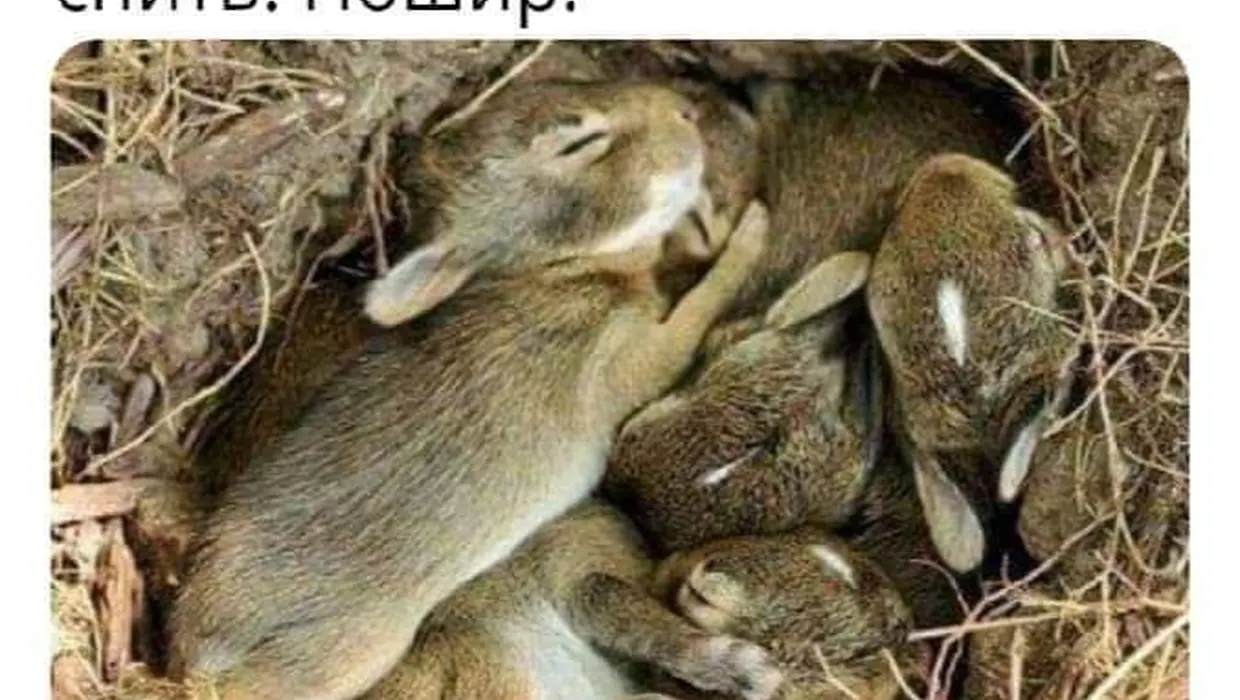 Не спалюйте траву! Не спалюйте траву!