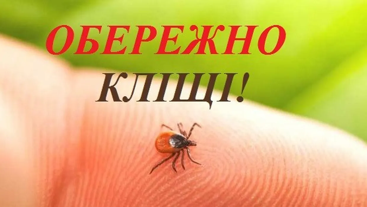 Як вберегтися від кліщів? Як вберегтися від кліщів?