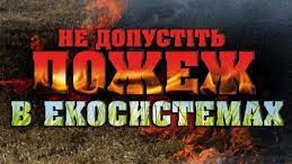 Правила безпеки під час виникнення пожежі в природних екосистемах