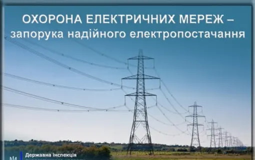 охорона електричних мереж