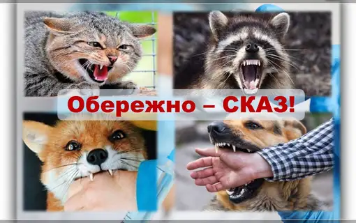 обережно скакз