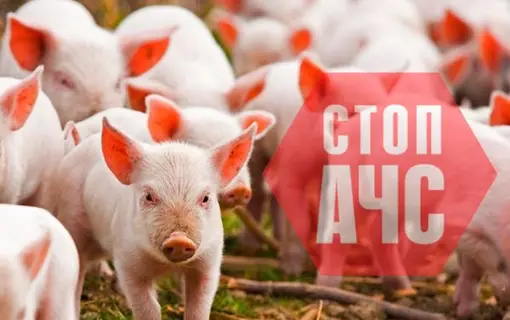 обережно ачс