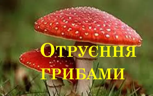 Гриби - це дарунок лісу, але водночас вони є небезпечним продуктом