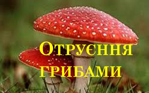 Гриби - це дарунок лісу, але водночас вони є небезпечним продуктом