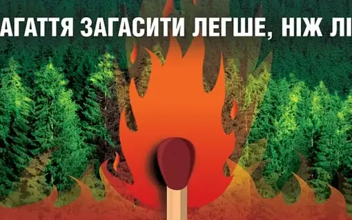 Пожежна безпека в лісах: як не знищити довкілля та вберегти природу від вогню