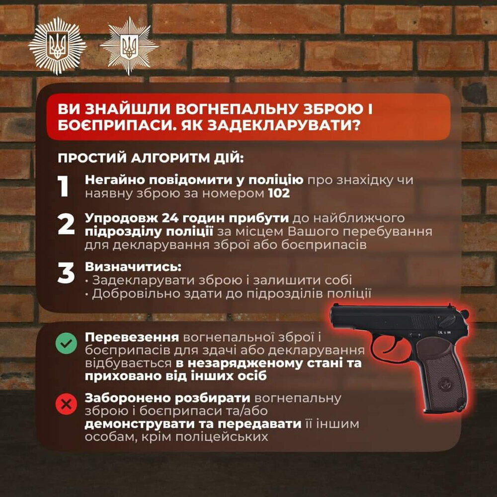 декларування зброї